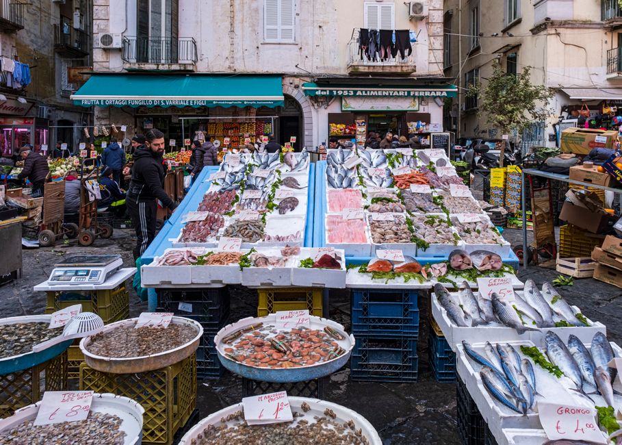 Buying Live Shellfish: A Realistic Plan