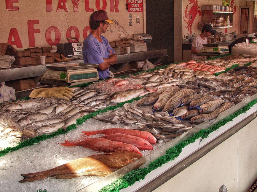 Halibut Fillets: A Simple Guide