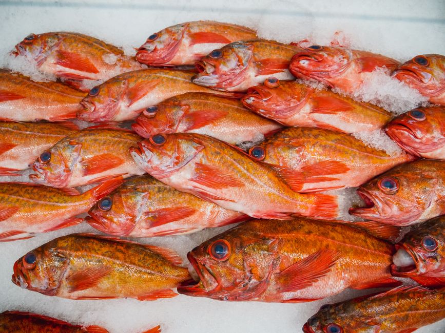 Rainbow Trout: Shopping and Prep Tips