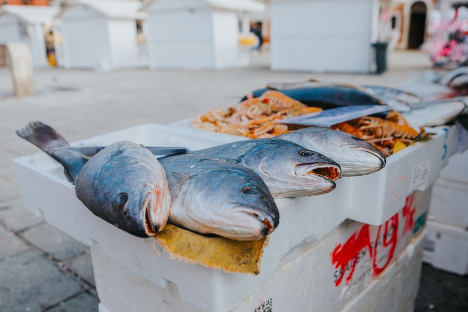 Salmon Varieties: Common Mistakes to Avoid