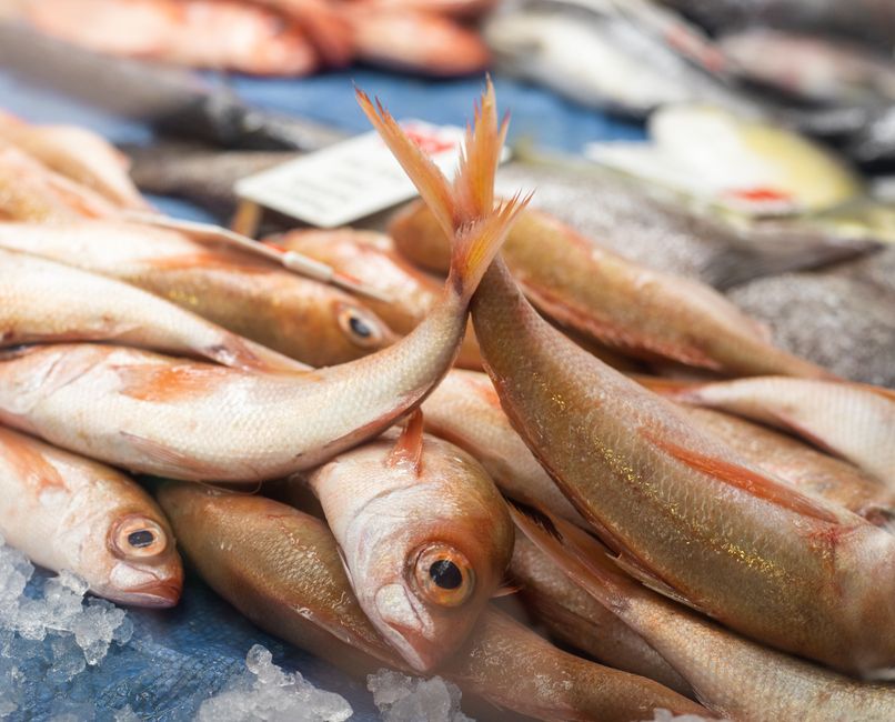 Sardines And Anchovies: Where to Start