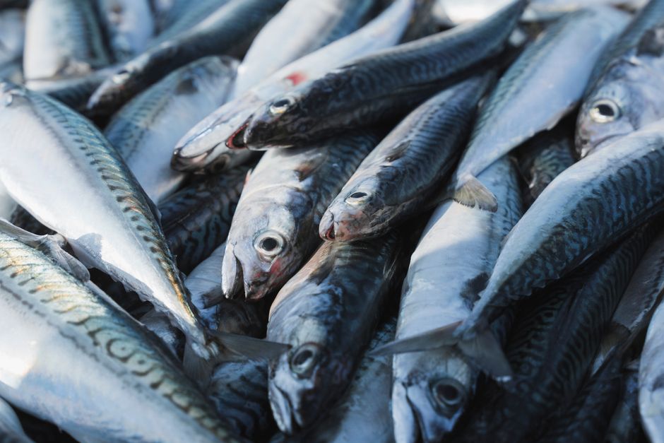 Storing Seafood In The Fridge