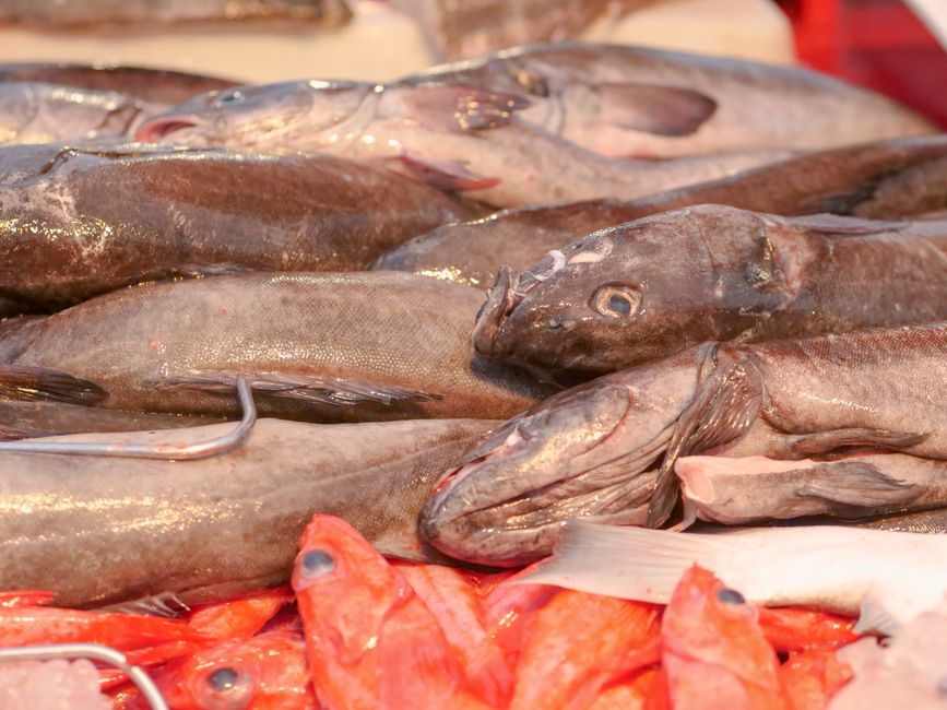 Sustainable Seafood Choices: A Simple Guide